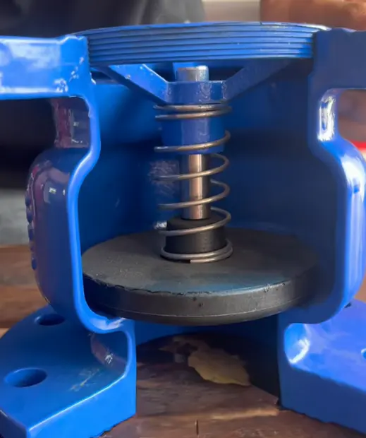 Silent Check Valve