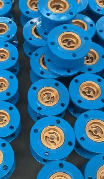 Silent Check Valve
